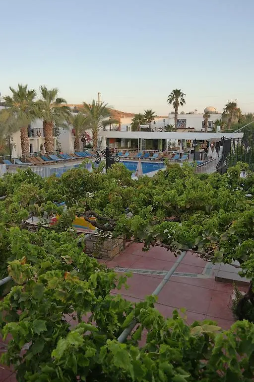 Dilek Apart Hotel Gümbet 2*,